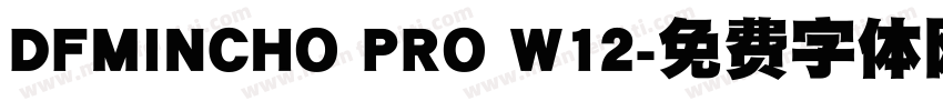 DFMINCHO PRO W12字体转换